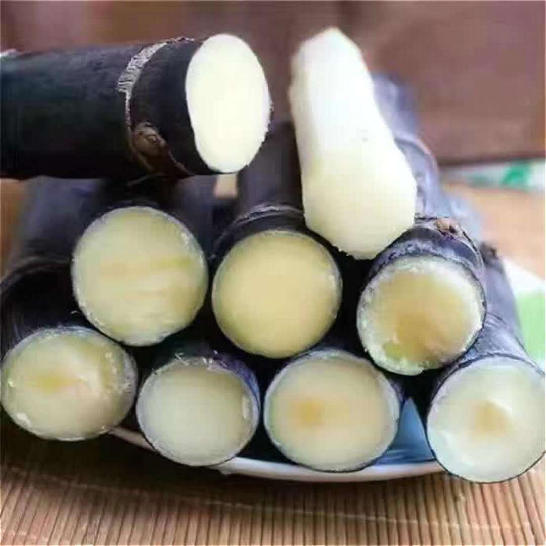 甘蔗2